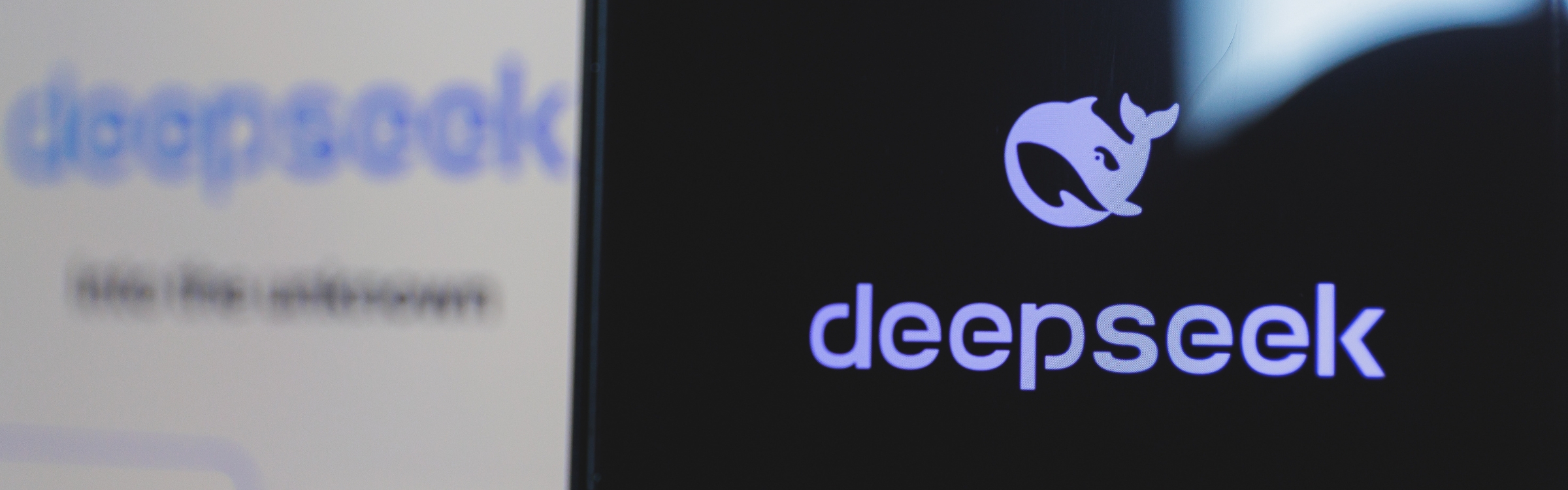 deepseek(2400 x 750 px)