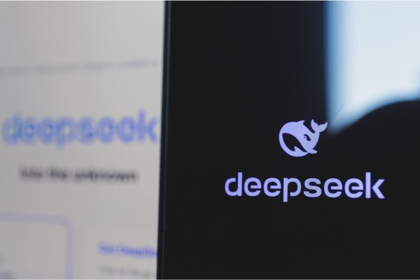 deepseek(600 x 400 px)