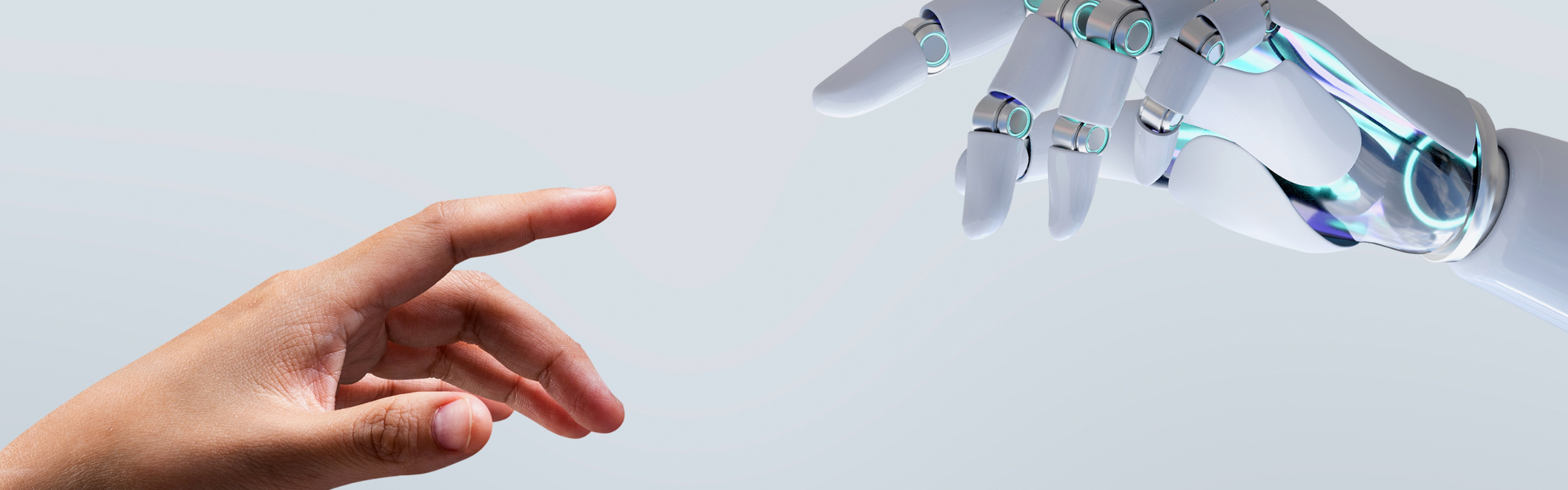 Detay Image (2400 x 750 px) (26)