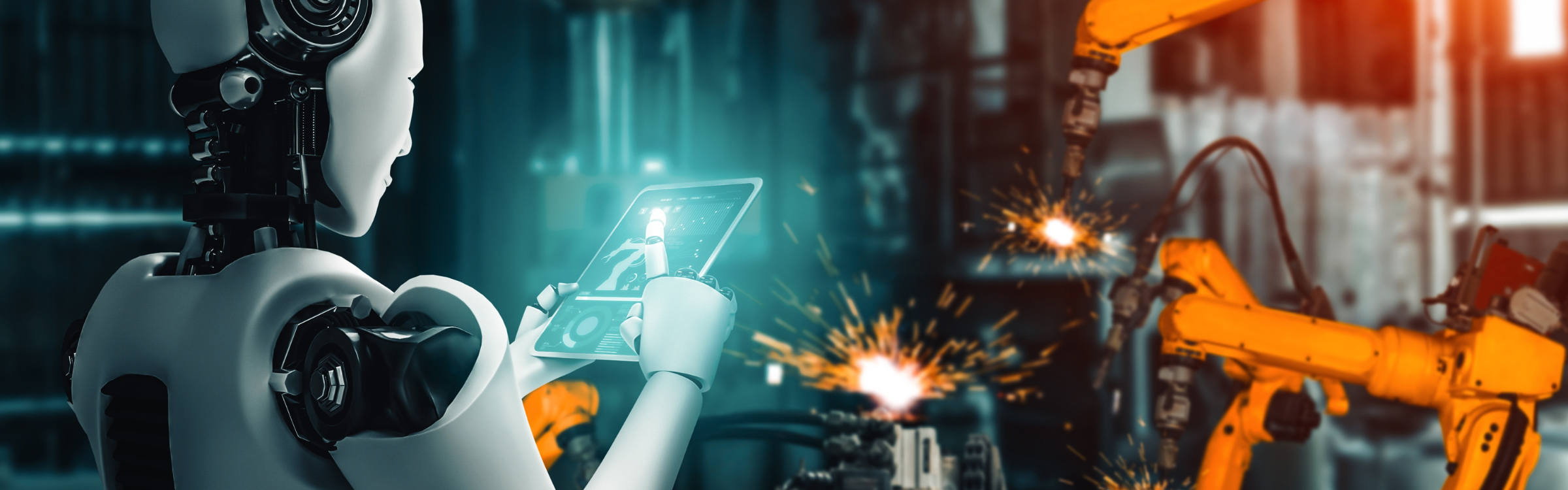 Detay Image (2400 x 750 px) (3)