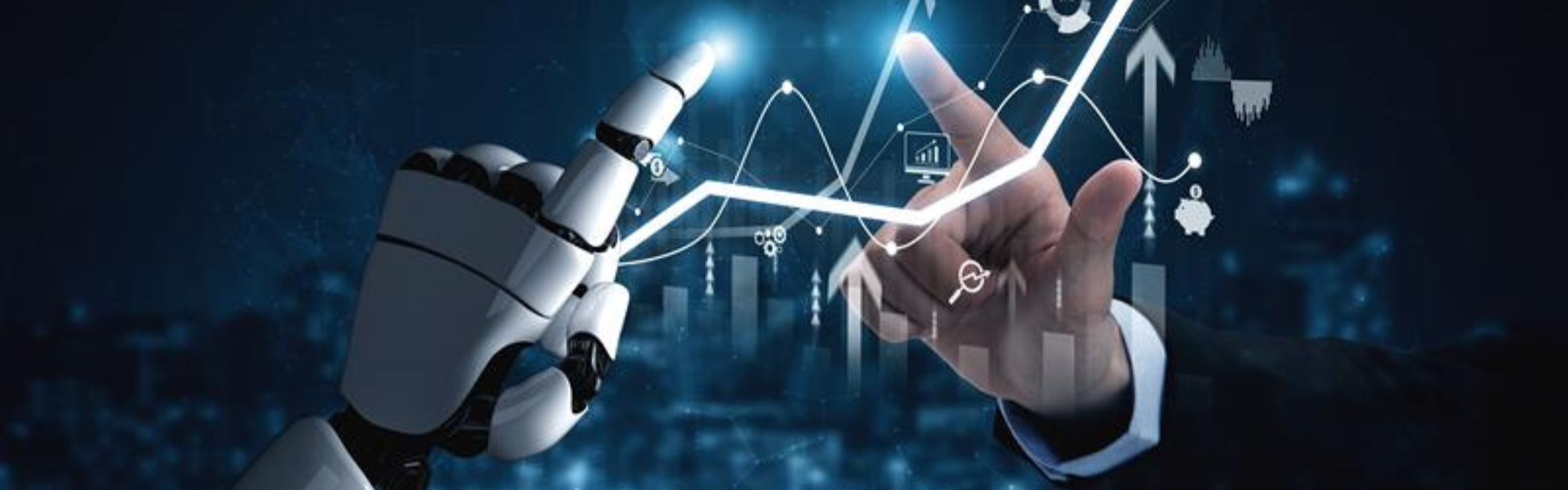 Detay Image (2400 x 750 px) (1)