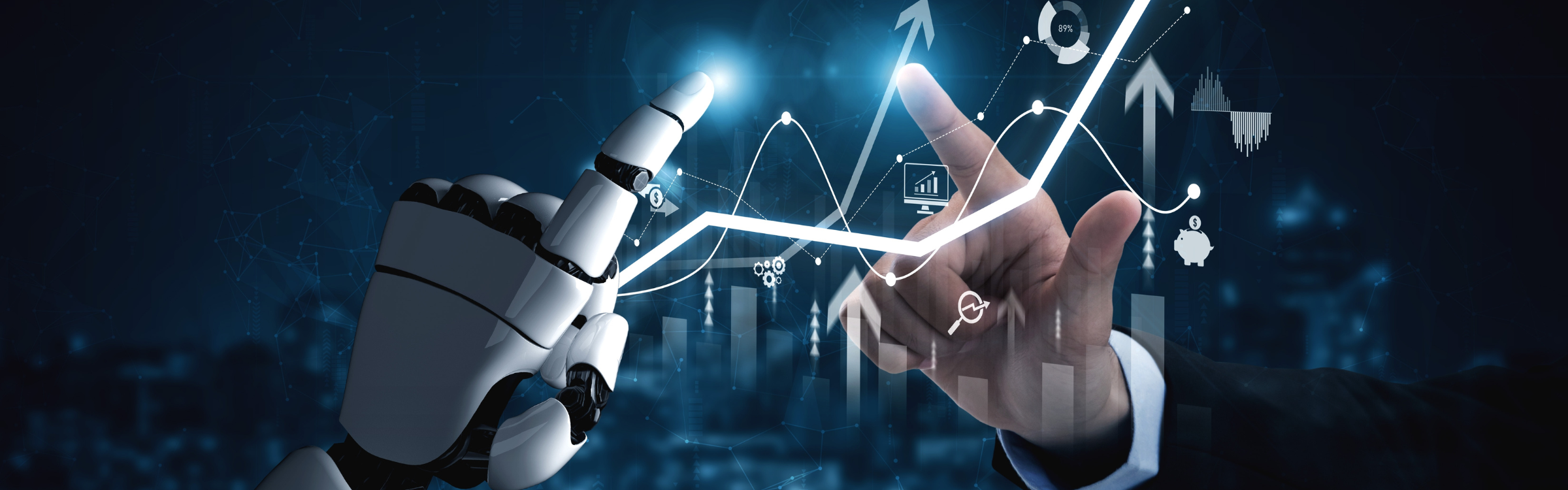 Detay Image (2400 x 750 px) (2)